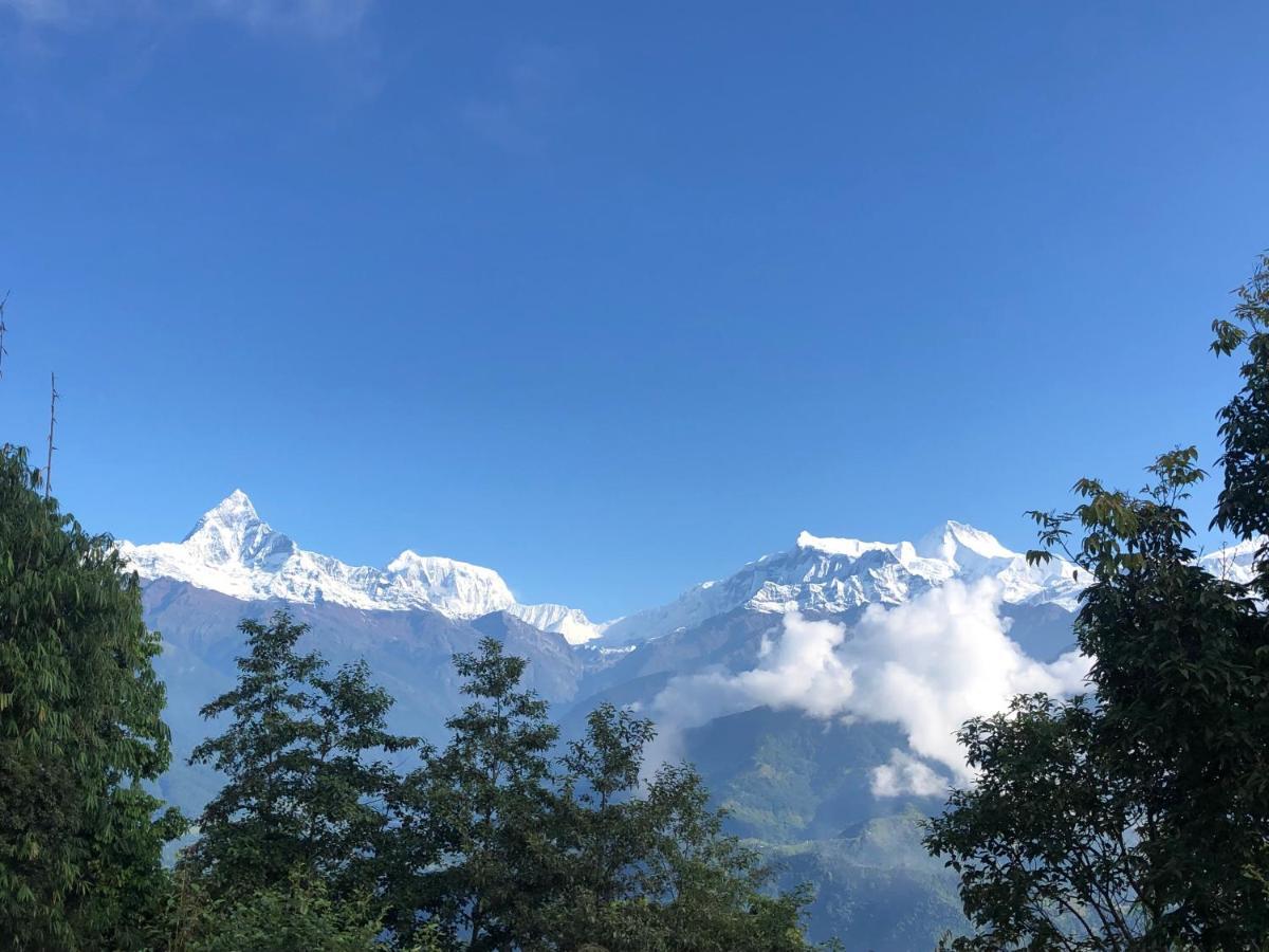 Hotel Pristine Himalaya Pókhara Exteriér fotografie